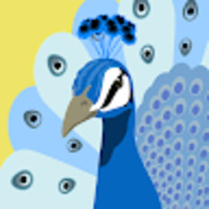 Meet your Posher, Bertina